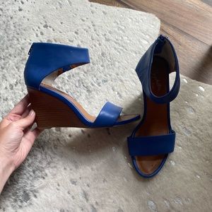 Blue Wedge